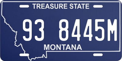 MT license plate 938445M