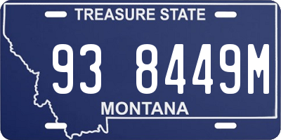MT license plate 938449M