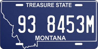 MT license plate 938453M