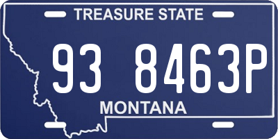 MT license plate 938463P