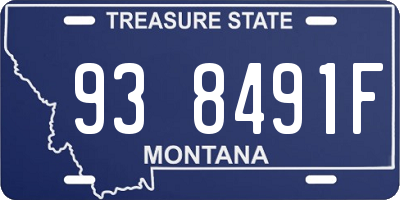 MT license plate 938491F