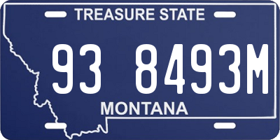 MT license plate 938493M