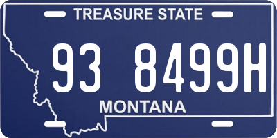 MT license plate 938499H