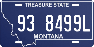 MT license plate 938499L
