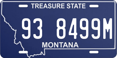 MT license plate 938499M