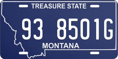 MT license plate 938501G