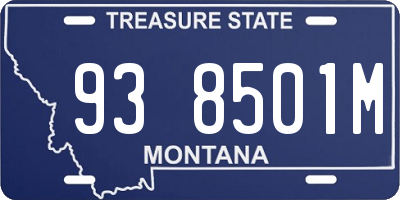 MT license plate 938501M