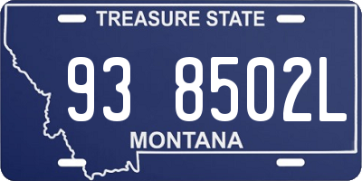 MT license plate 938502L