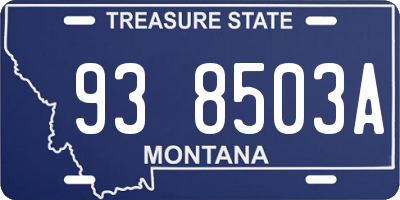 MT license plate 938503A