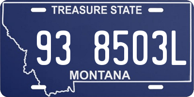 MT license plate 938503L