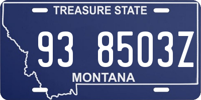 MT license plate 938503Z
