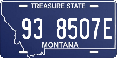 MT license plate 938507E