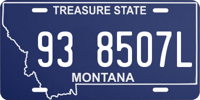 MT license plate 938507L
