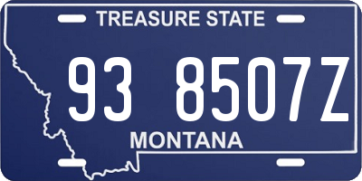 MT license plate 938507Z