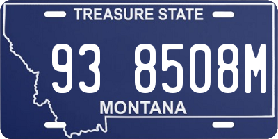 MT license plate 938508M