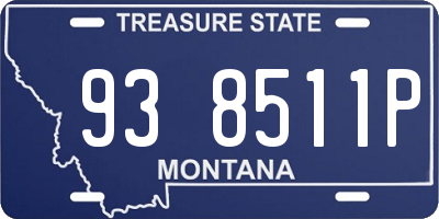 MT license plate 938511P