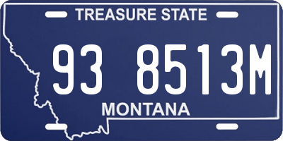 MT license plate 938513M