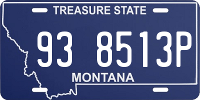 MT license plate 938513P