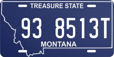MT license plate 938513T