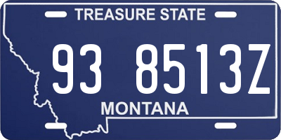 MT license plate 938513Z
