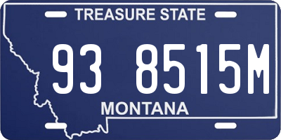 MT license plate 938515M