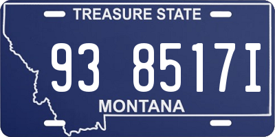 MT license plate 938517I