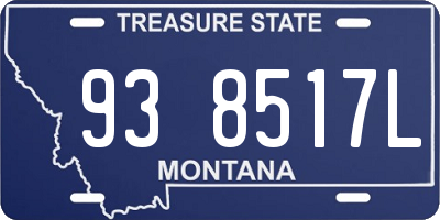 MT license plate 938517L