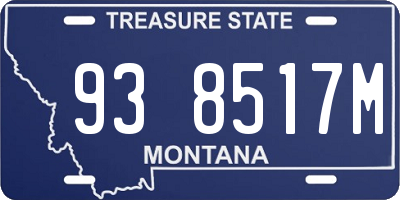 MT license plate 938517M