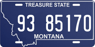 MT license plate 938517O