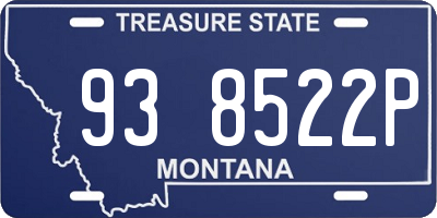 MT license plate 938522P