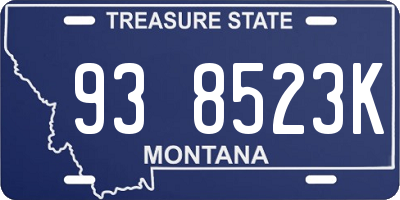 MT license plate 938523K