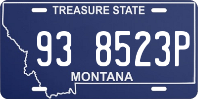 MT license plate 938523P