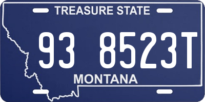 MT license plate 938523T