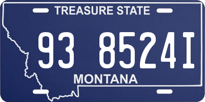 MT license plate 938524I