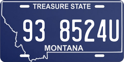 MT license plate 938524U