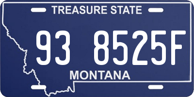 MT license plate 938525F