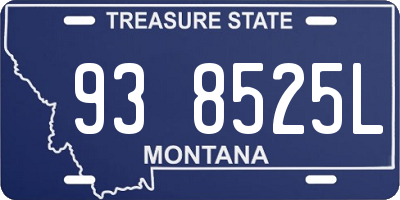 MT license plate 938525L
