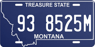 MT license plate 938525M