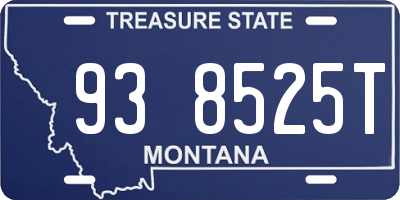 MT license plate 938525T