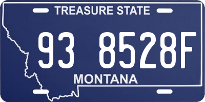 MT license plate 938528F