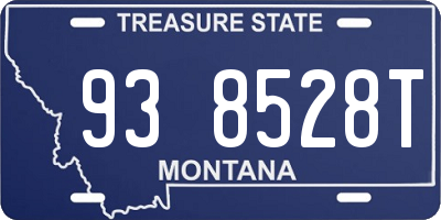 MT license plate 938528T