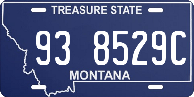MT license plate 938529C