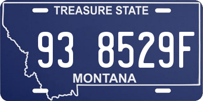 MT license plate 938529F