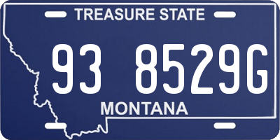 MT license plate 938529G