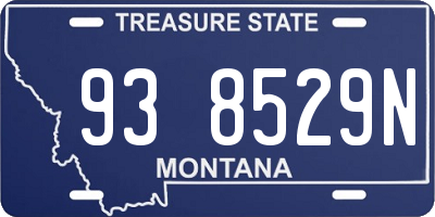 MT license plate 938529N