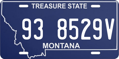 MT license plate 938529V