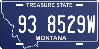 MT license plate 938529W