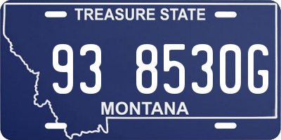 MT license plate 938530G