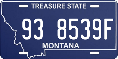 MT license plate 938539F