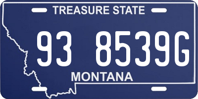 MT license plate 938539G
